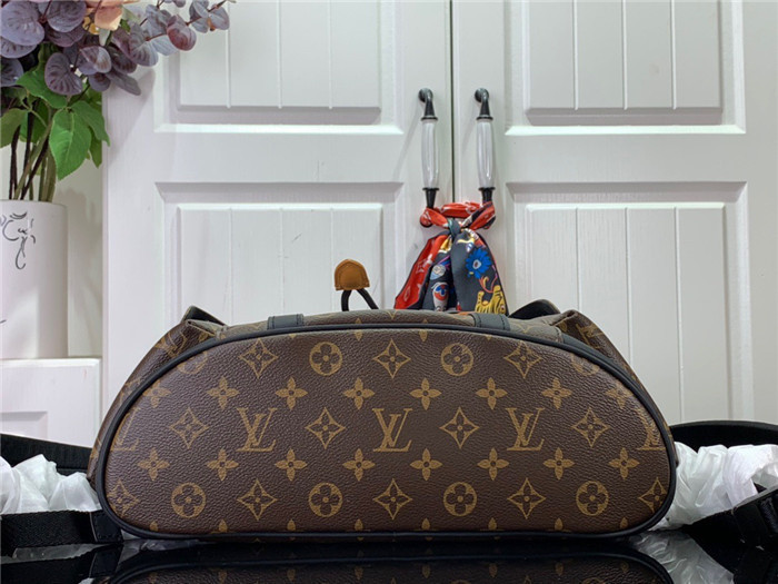 L*uis V*itton Backpack